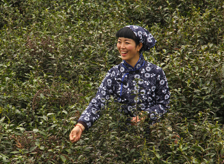 影视直播